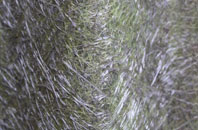 Norton Woodseats fibreglass roof work